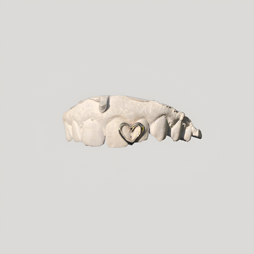 Heart grillz